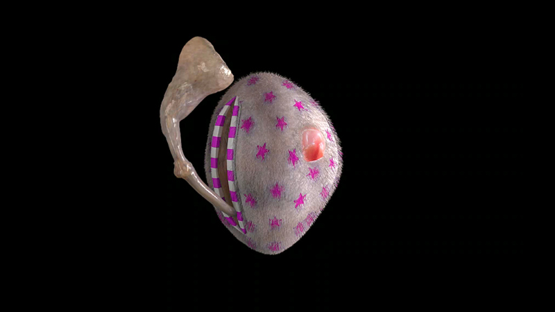 Jonathan Monaghan's animations